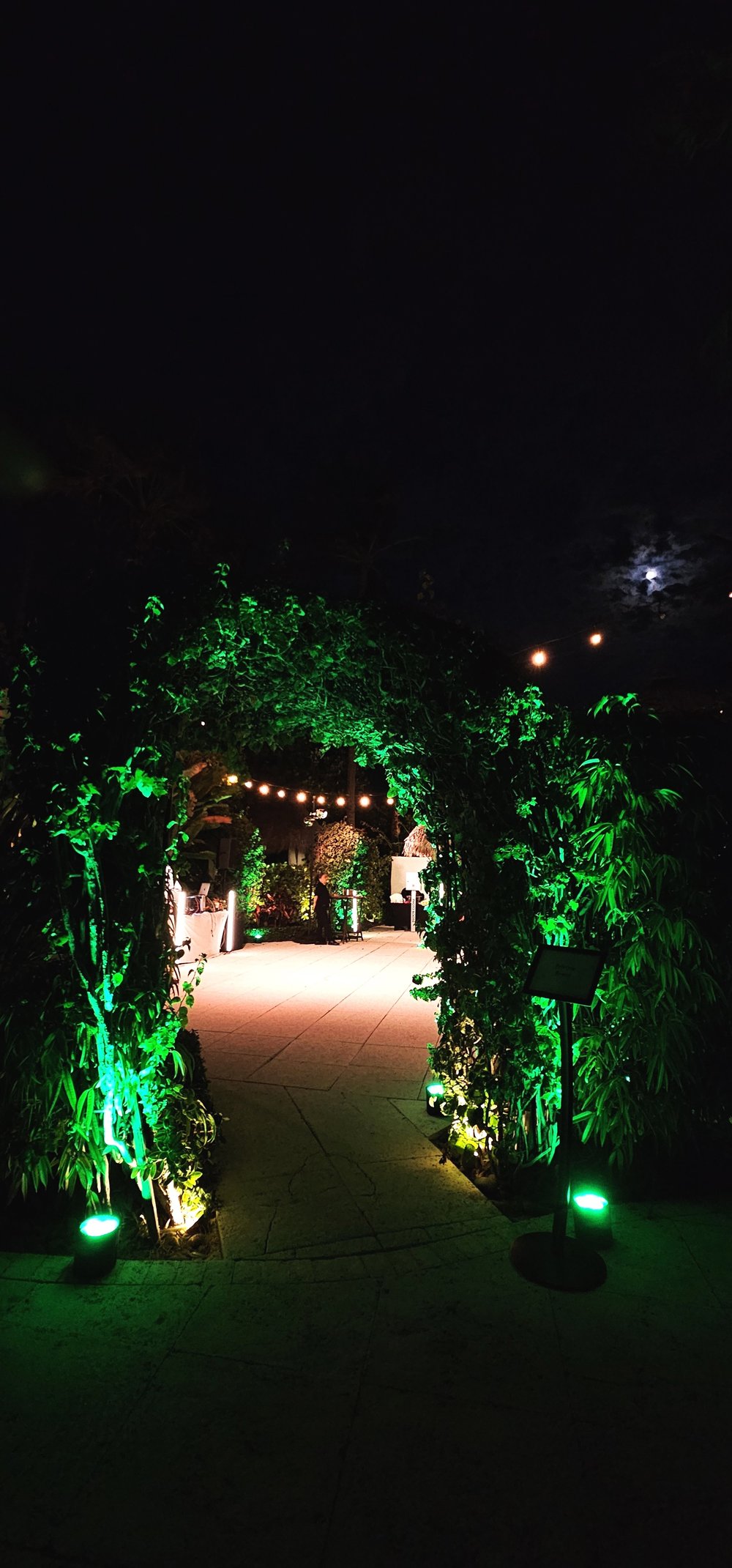 Creating a Tropical Jungle Dream Wedding, An Intimate Affair with Big Impact