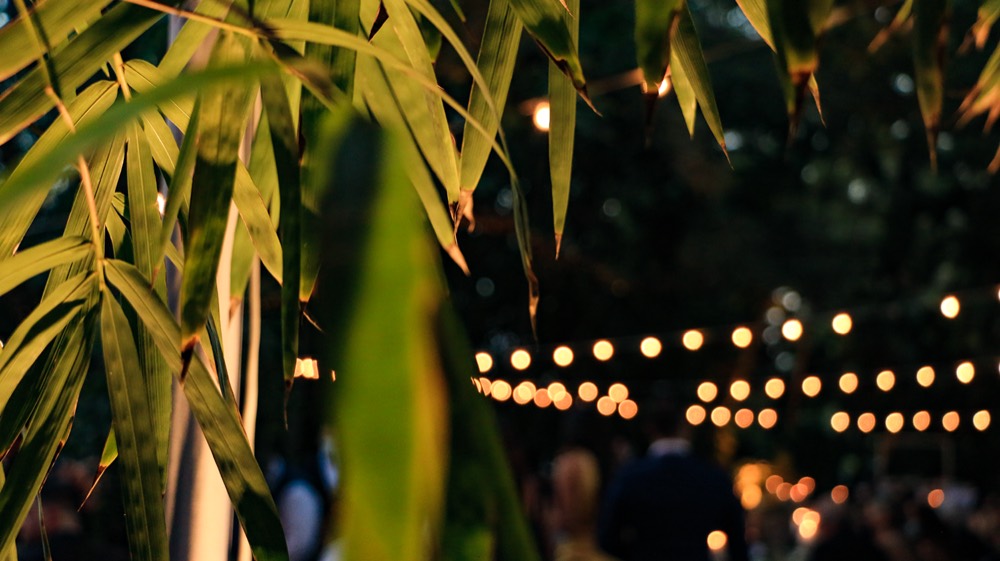 Weddings Gallery photo by Sound Level Events